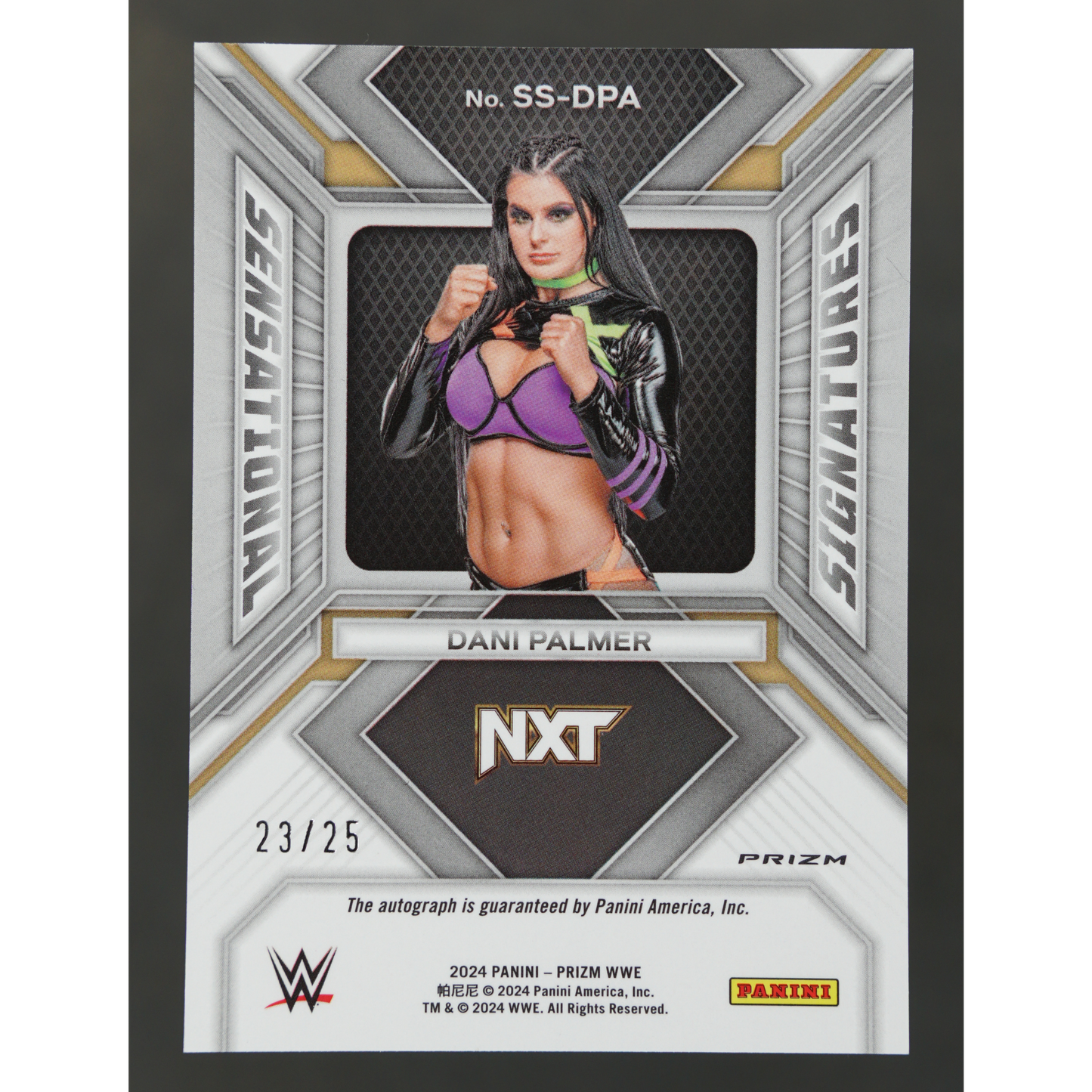 Dani Palmer 2024 Prizm Mojo Auto RC 23/25 #SS-DPA
