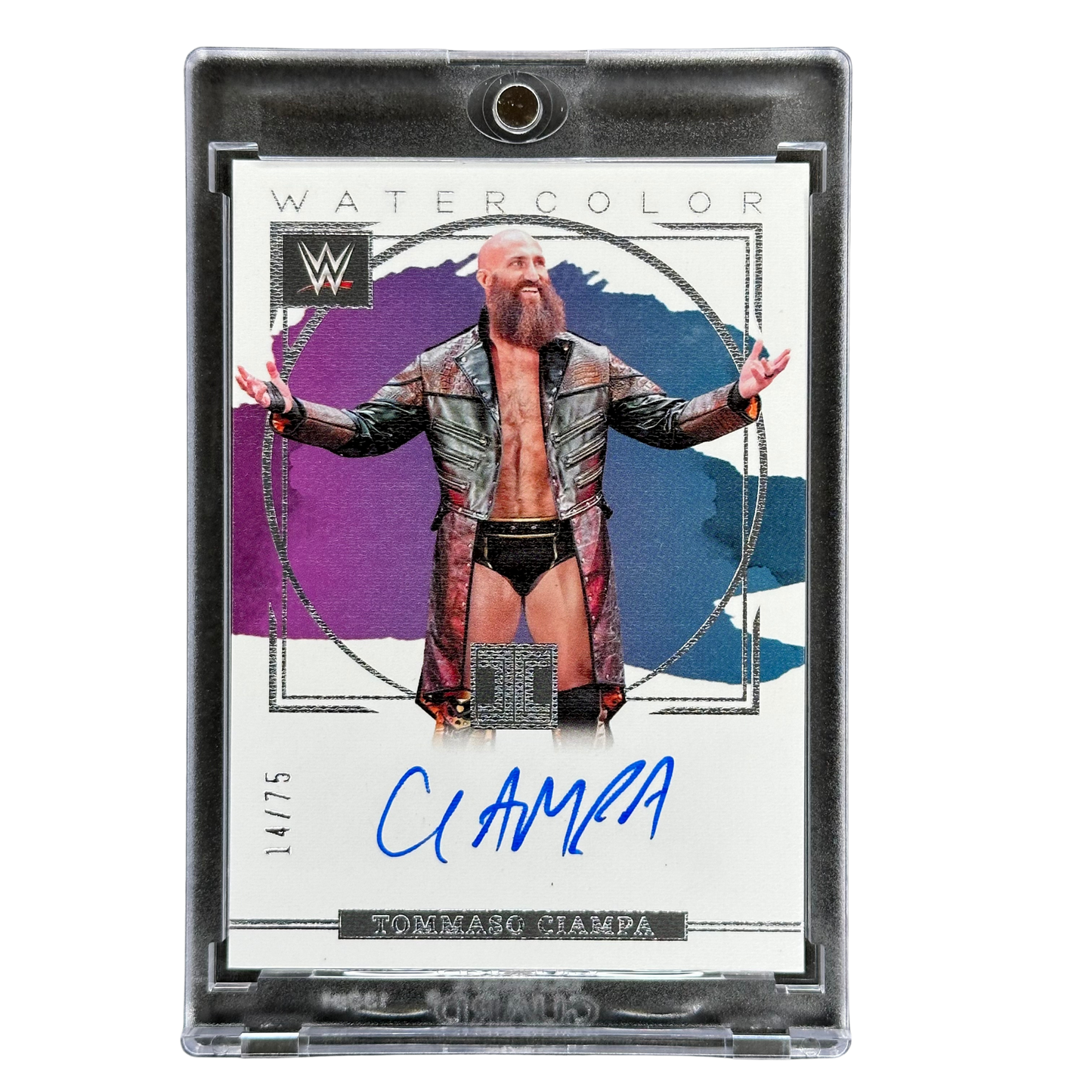 Tommaso Ciampa 2023 Impeccable Watercolor Auto 14/75 #WS-TCM