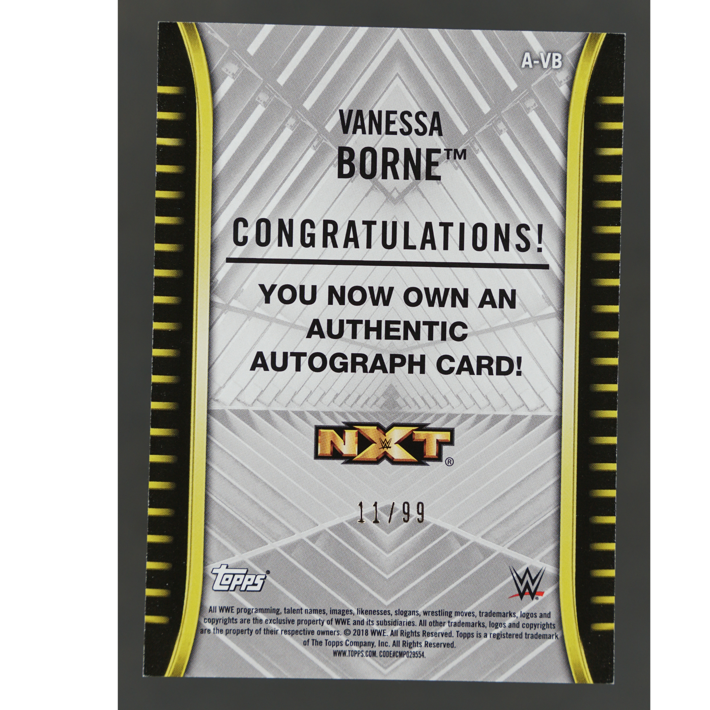 Vanessa Borne 2018 NXT Auto 11/99 #A-VB