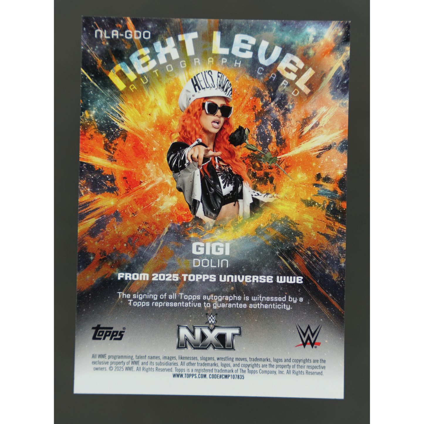Gigi Dolin 2025 Universe Next Level Auto 119/199 #NLA-GDO