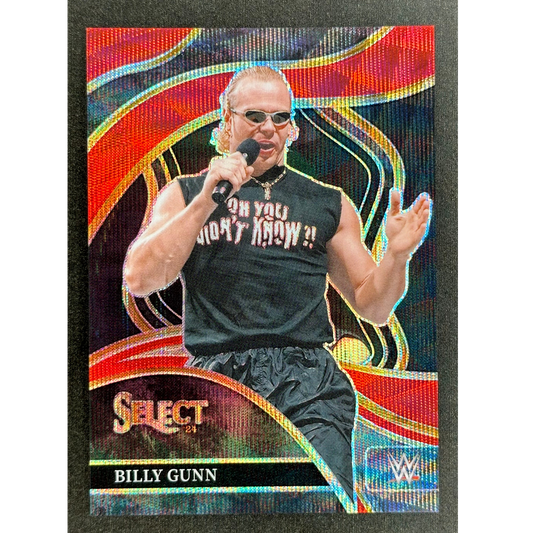 Billy Gunn 2024 Select Ringside 14/99 #298