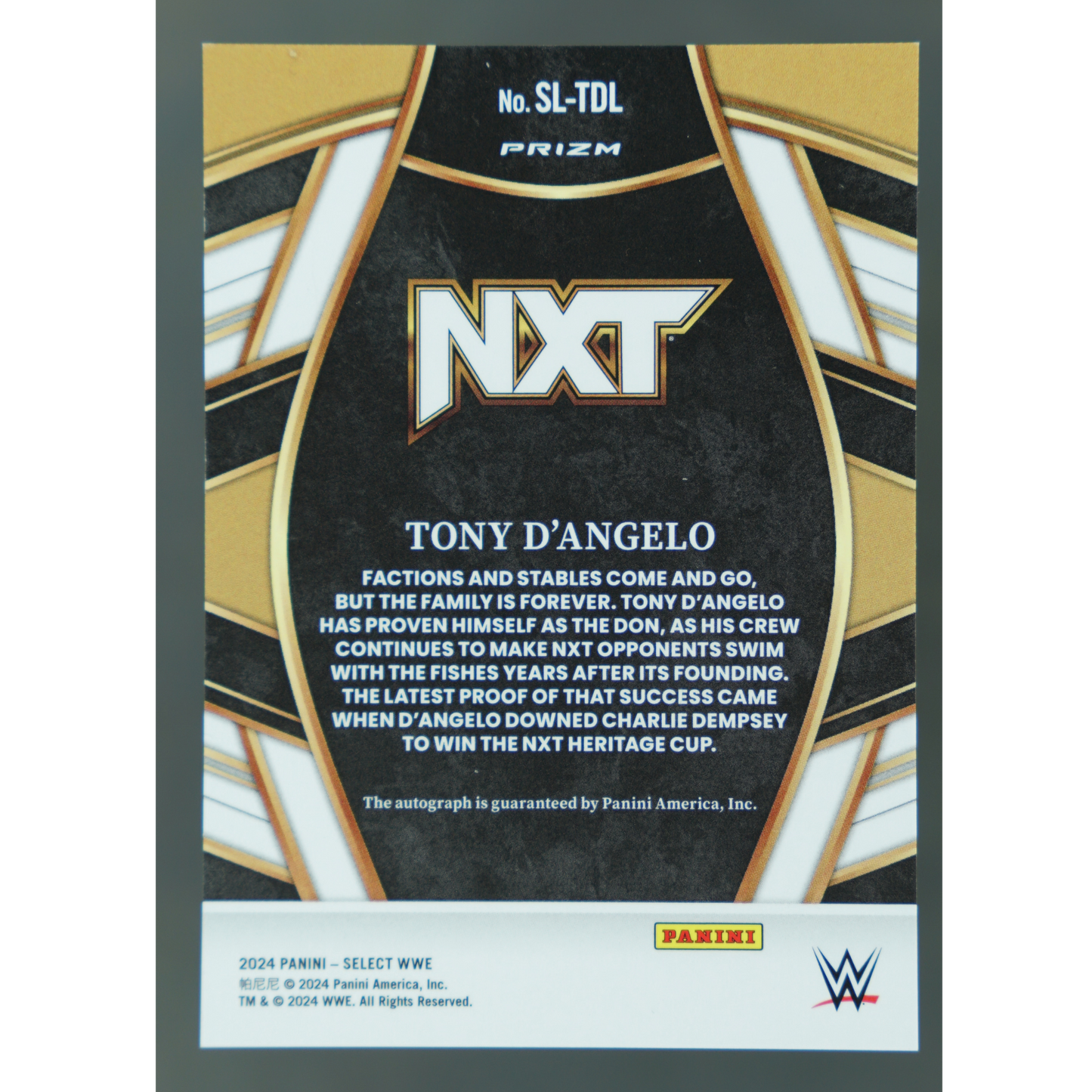 Tony D`Angelo 2024 Select Auto #SL-TDL