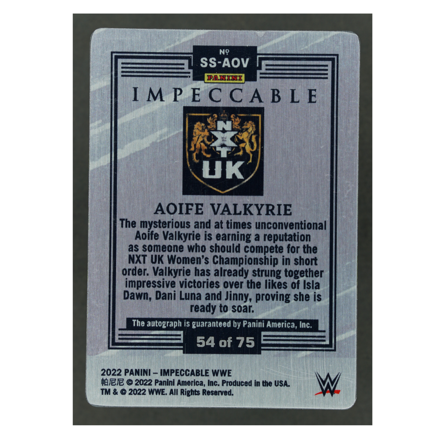 Aoife Valkyrie 2022 Impeccable Stainless Stars RC Auto 54/75 #SS-AOV
