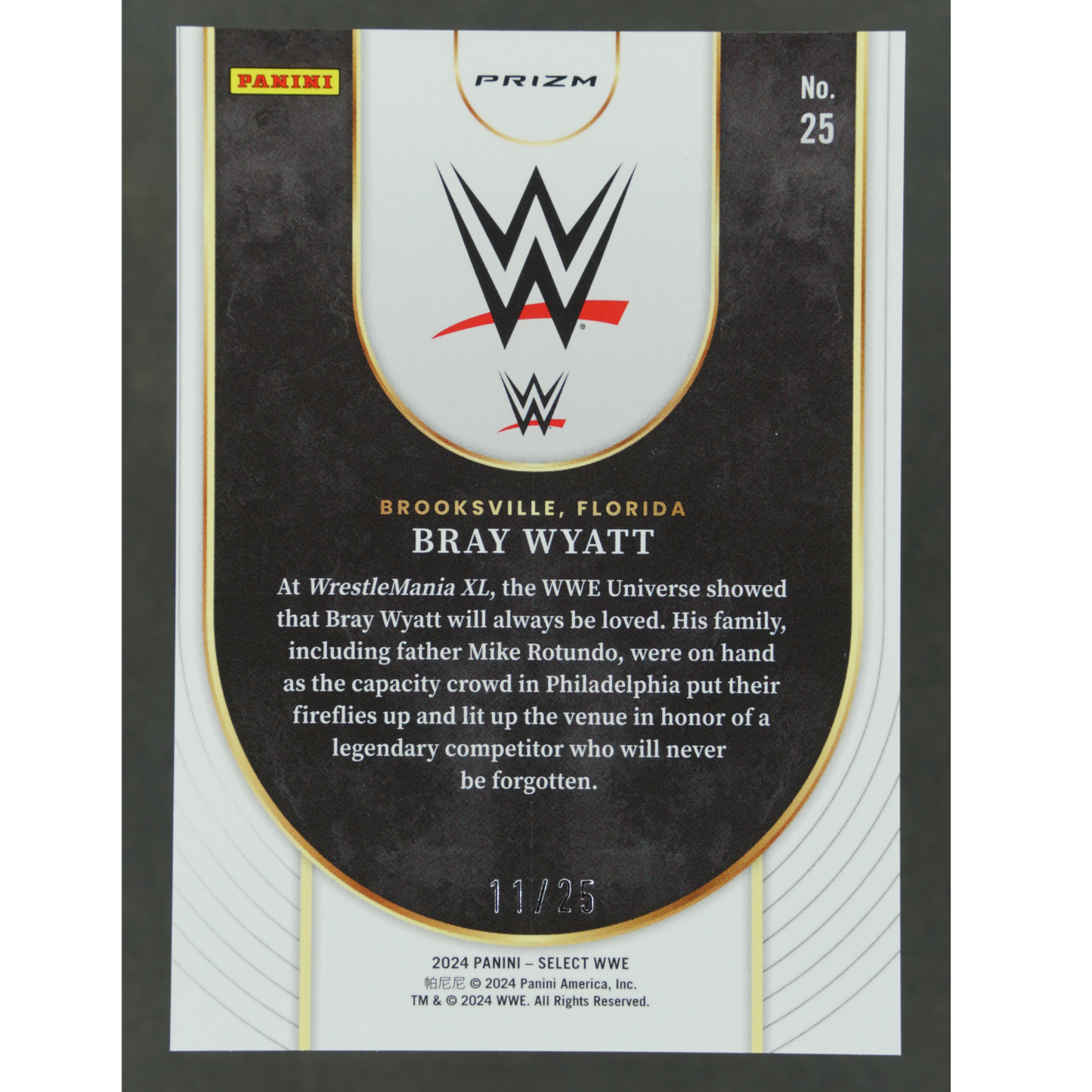 Bray Wyatt 2024 Select Icons Tie-Dye 11/25 #25