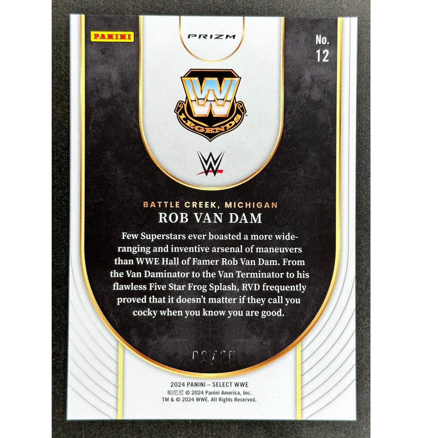 Rob Van Dam 2024 Select Tie-Dye Icons 3/25 #12