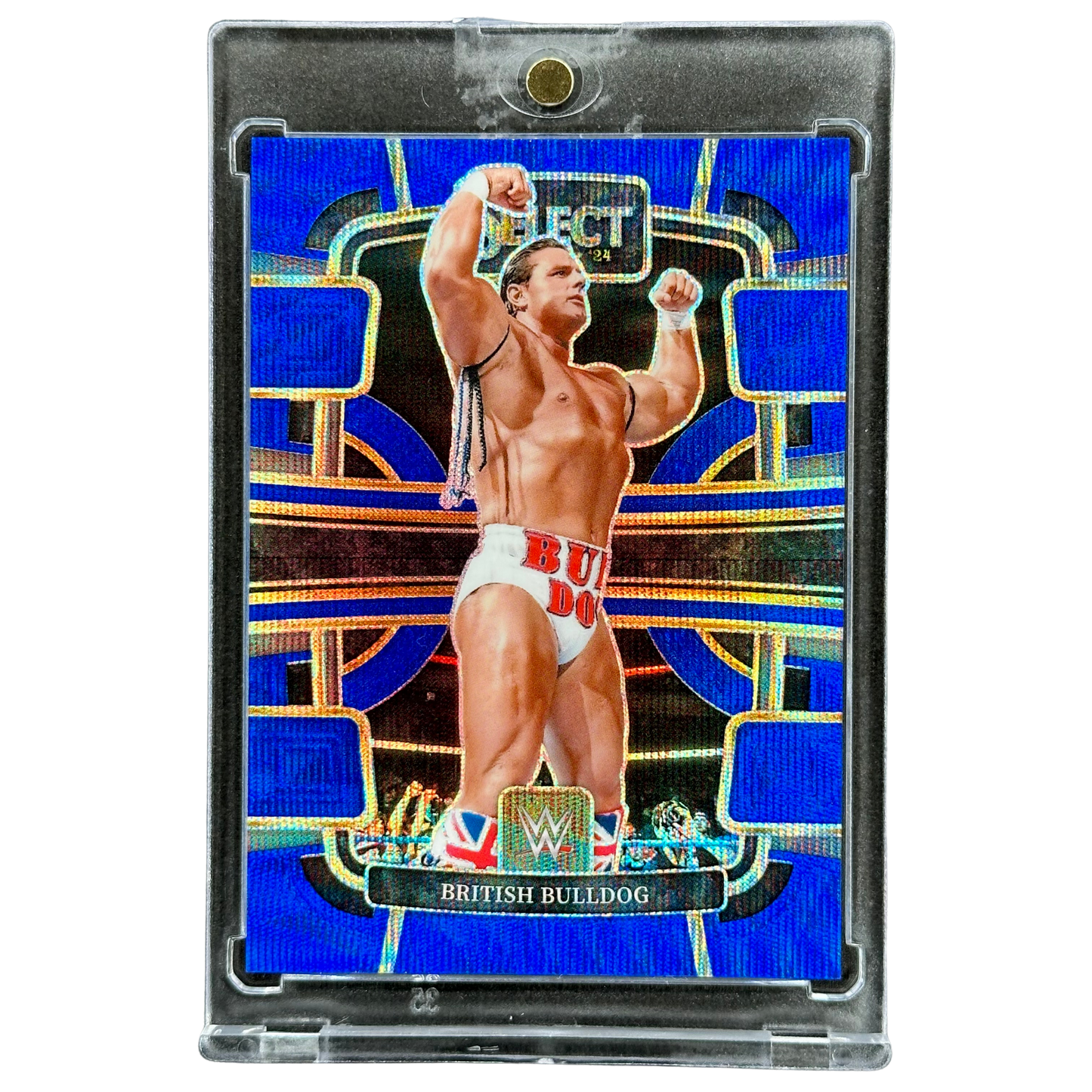 British Bulldog 2024 Select 20/49 #69