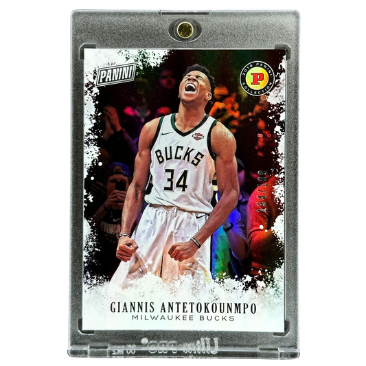 Giannis Antetokounmpo 2019 Panini Collection 134/199 #GA