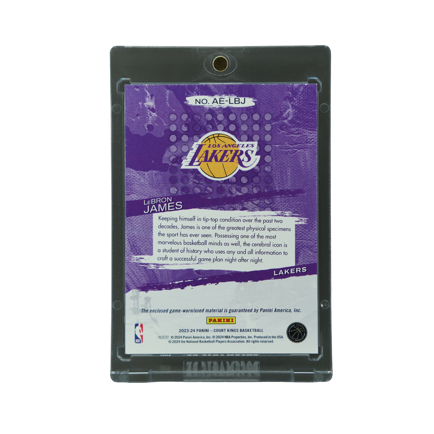 Lebron James 2023 Court Kings Artistic Endevours Jersey #AE-LBJ