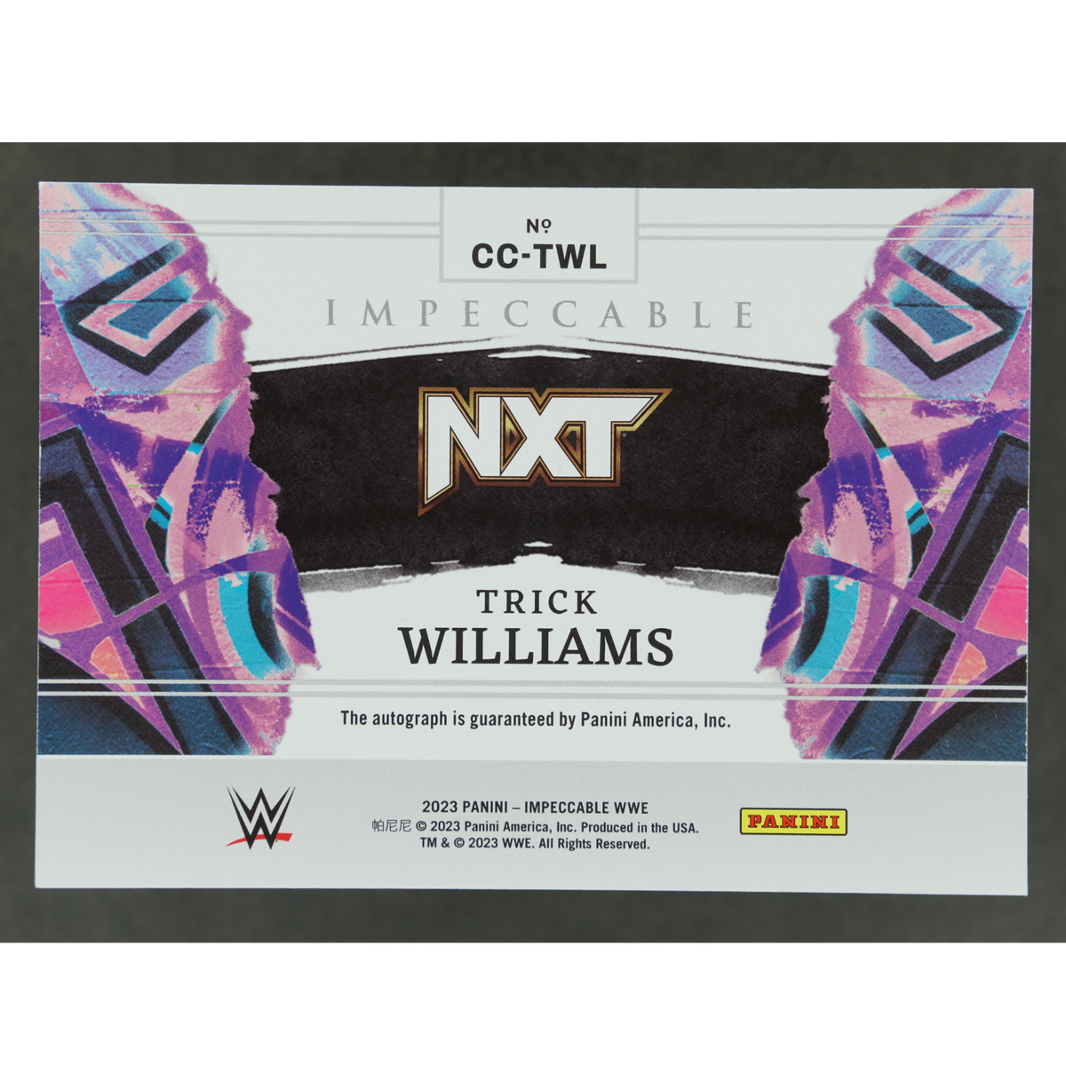 Trick Williams 2023 Impeccable Canvas Creations Auto 61/75 #CC-TWL
