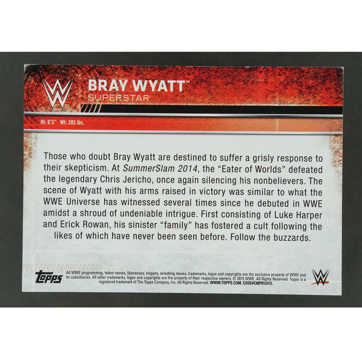 Bray Wyatt 2015 Topps Authentic Shirt Relic