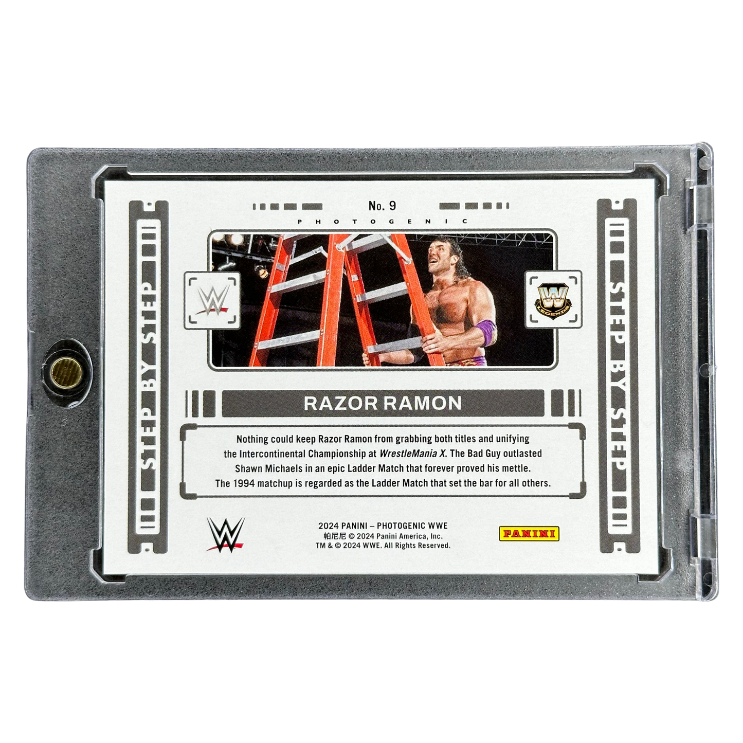 Razor Ramon 2024 Photogenic Step by Step 20/25 #9