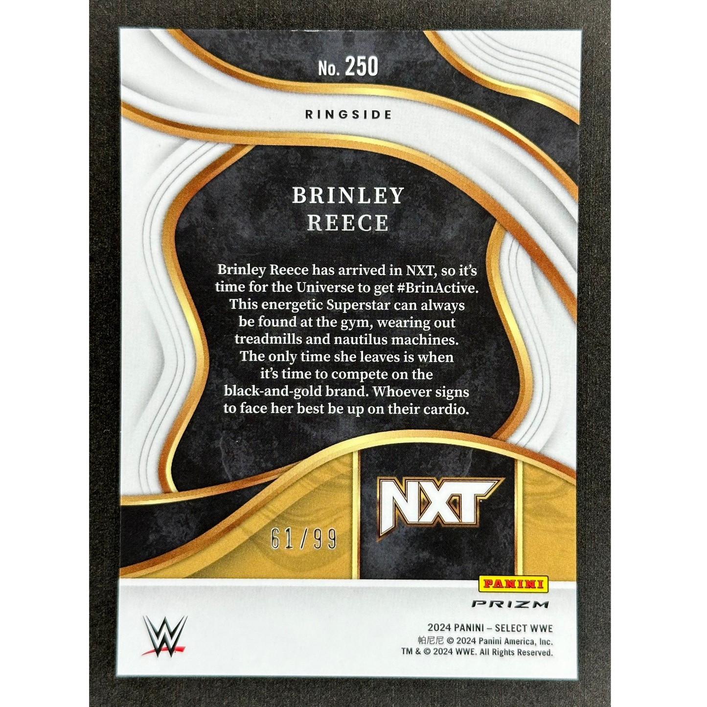 Brinley Reece 2024 Select RC Rookie Card Ringside 61/99 #250