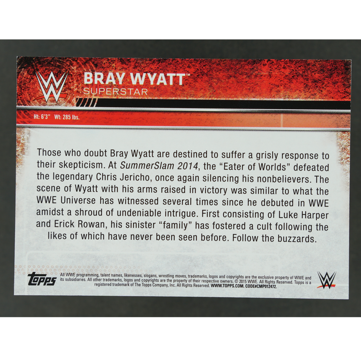 Bray Wyatt 2015 Topps Authentic Shirt Relic