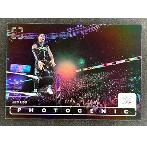 Descriptive image text