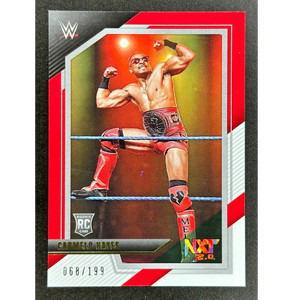 Descriptive image text