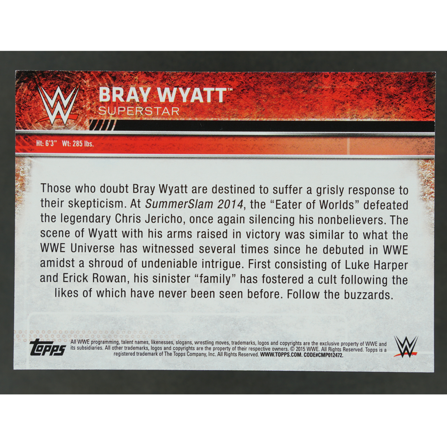 Bray Wyatt 2015 Topps Authentic Shirt Relic