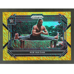 Rob Van Dam 2023 Prizm Gold Shimmer 1/5 #9