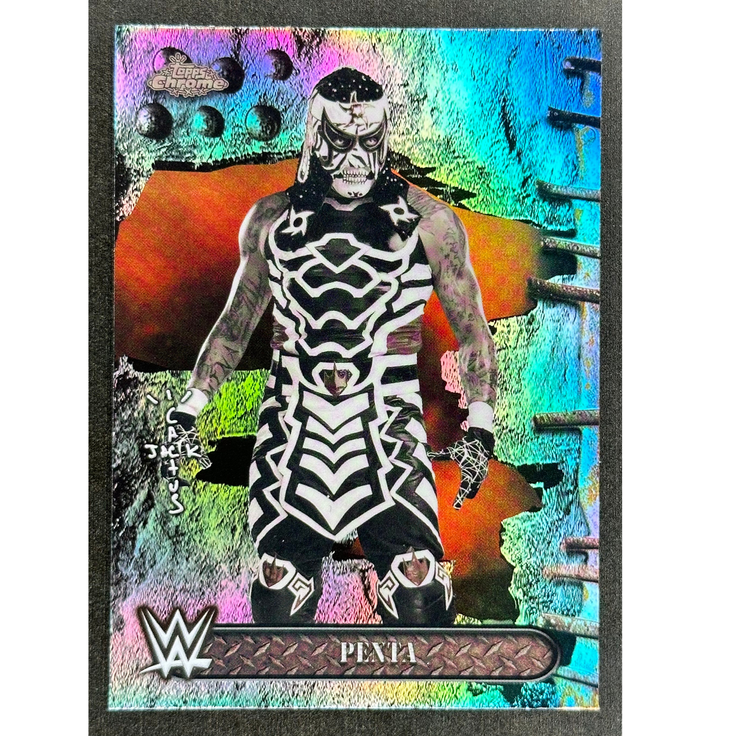 Penta 2025 Cactus #23