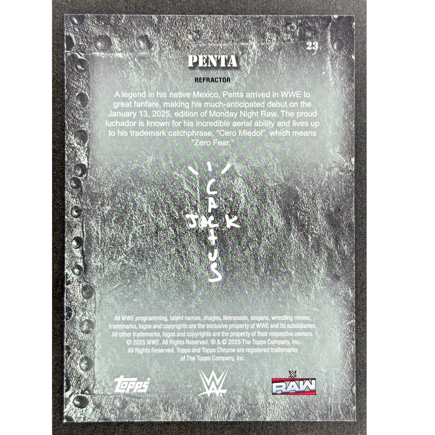 Penta 2025 Cactus #23