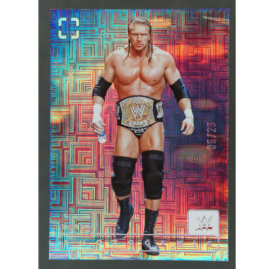 Triple H 2024 Photogenic Maze 5/25 #175