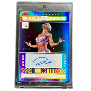 Descriptive image text