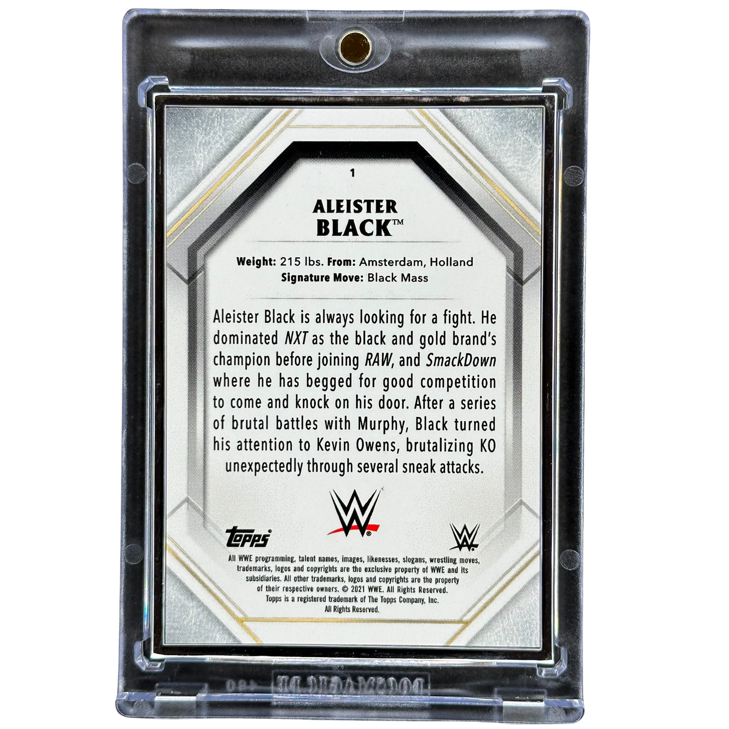 Aleister Black 2021 Topps Metal Frame 42/50 #1