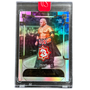 Descriptive image text