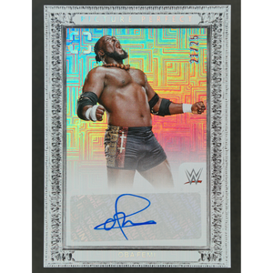 Oba Femi 2024 Photogenic Picture Perfect Auto Maze 21/25 #PP-OFM