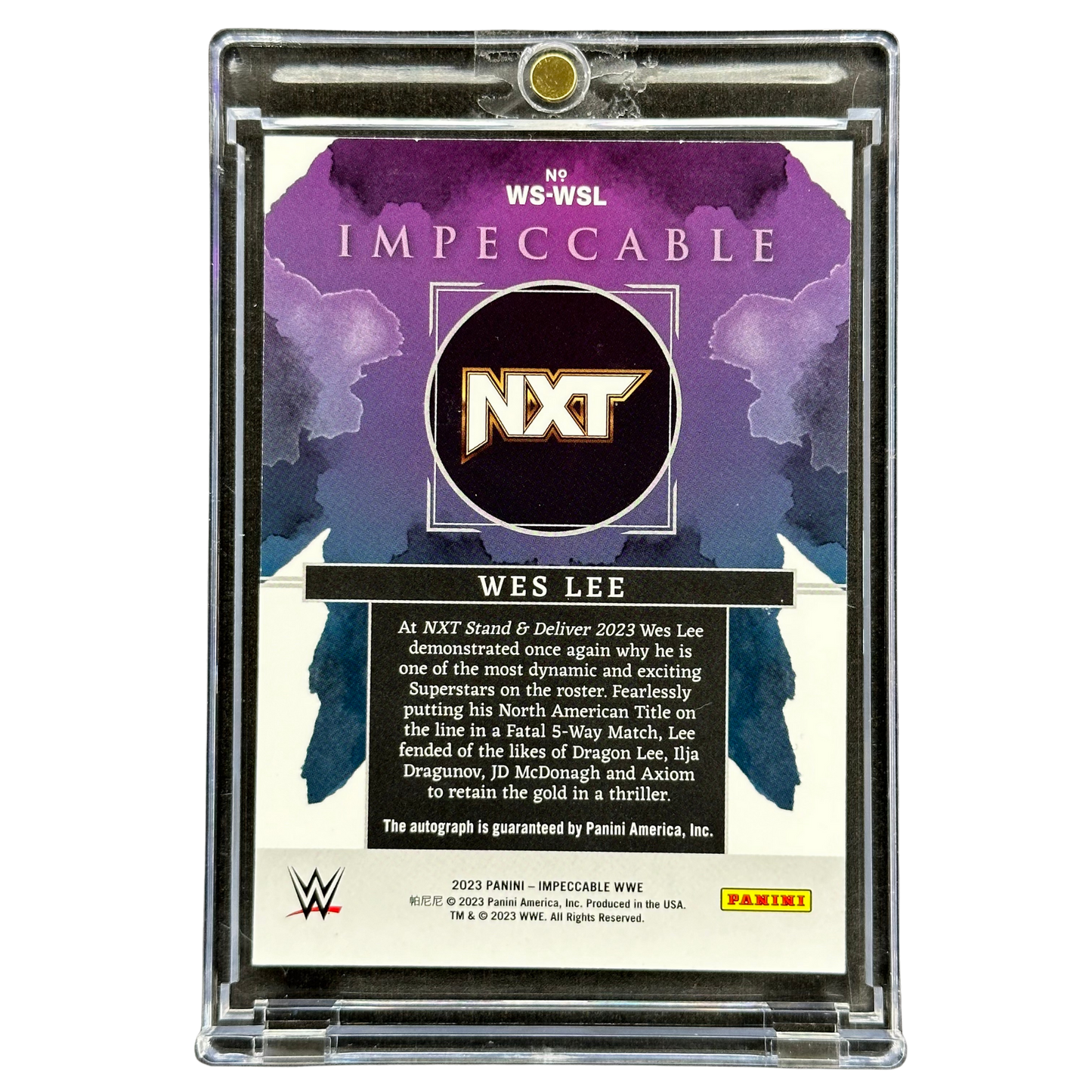 Wes Lee 2023 Impeccable Watercolor Auto 7/25 #WS-WSL
