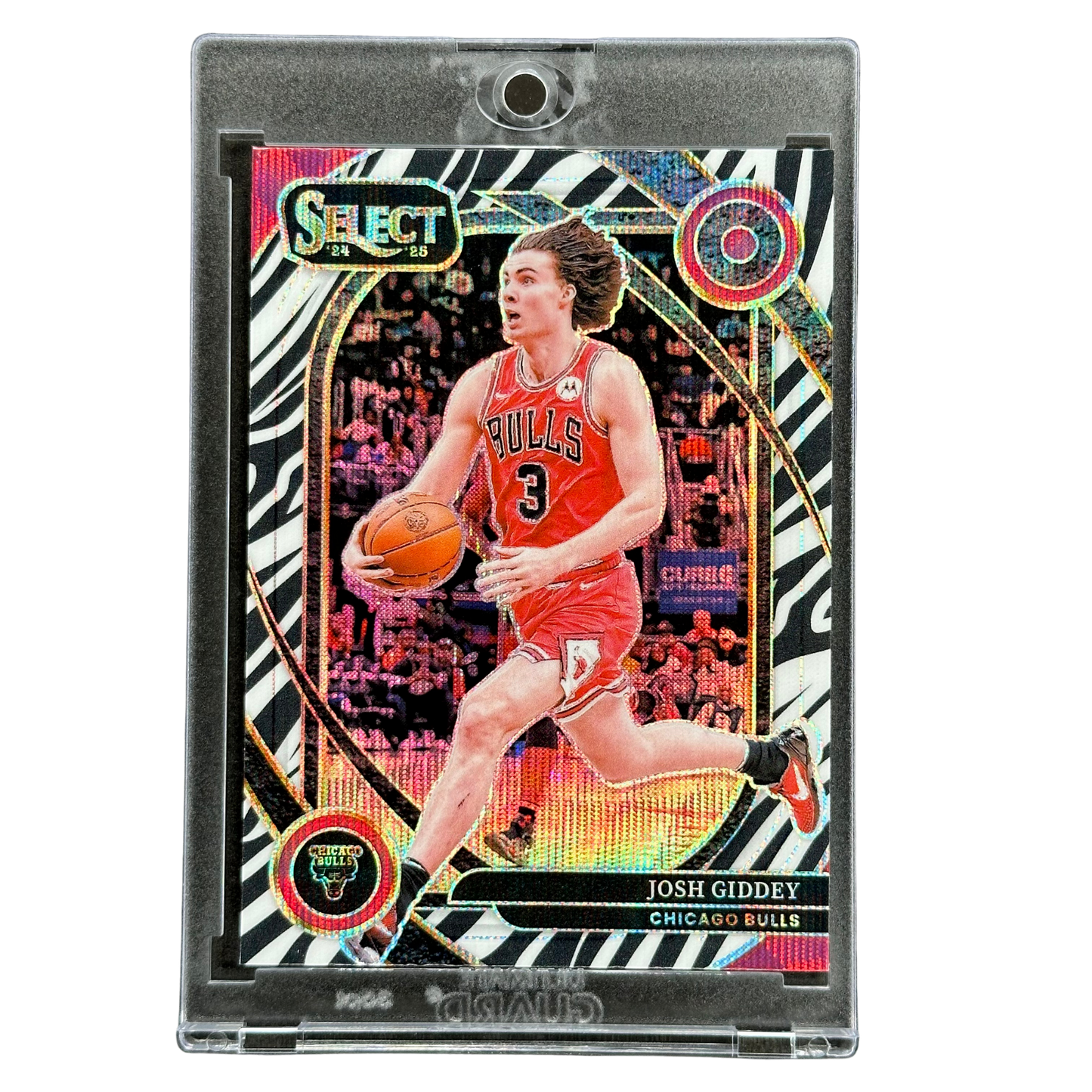 Josh Giddey 2024 Select Zebra Courtside #238